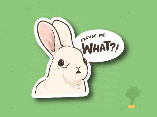 Excuse Me What?! Sticker | Funny Sticker | Gifts under 10 | Water Resistant | Water Bottle | Joke | Laptop | Cute Sticker | Bunny Rabbit