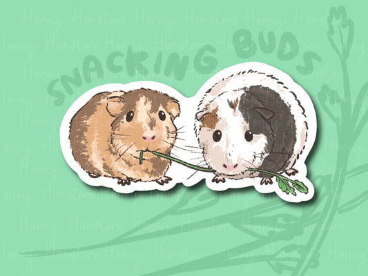 Snacking Buds Guinea Pig | Funny and Cute Laptop Sticker | Gifts under 5 | Water Resistant | Water Bottle | Vinyl Durable Hand-drawn
