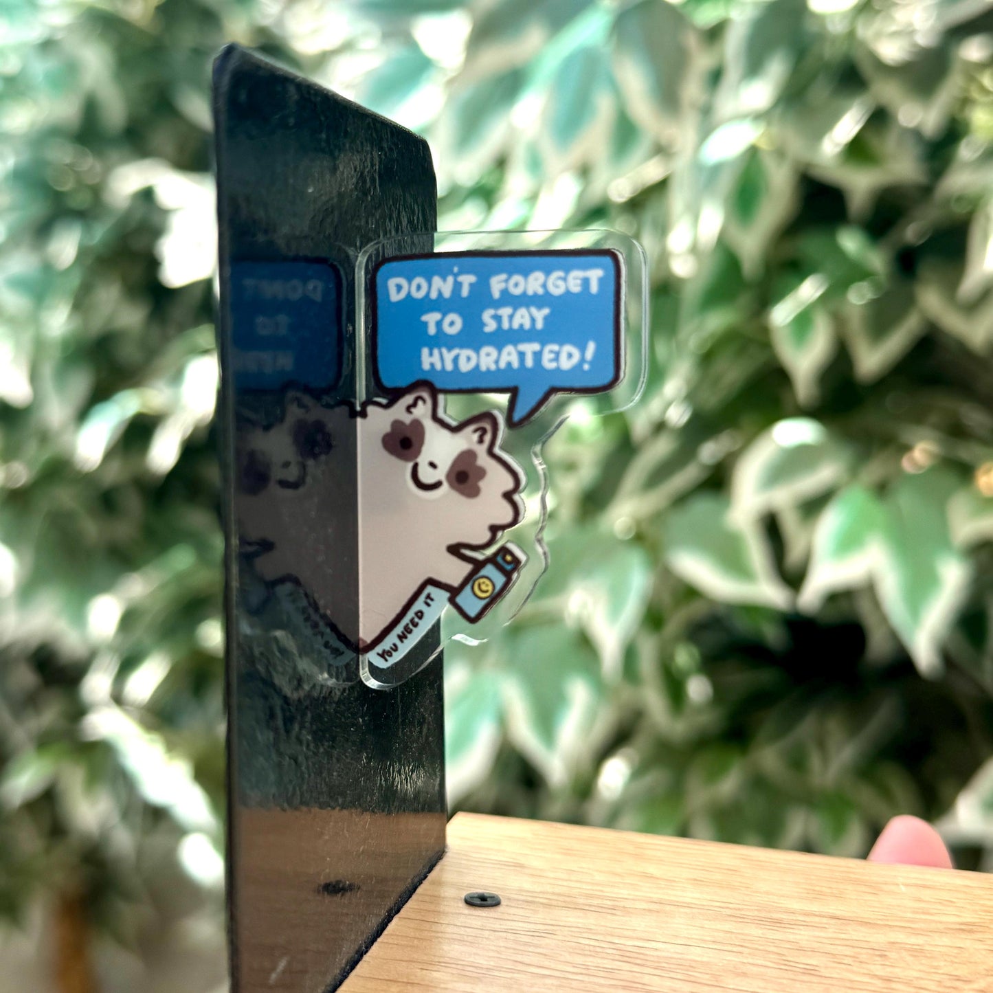 Raccoon Side Fridge Magnet Funny Cute Acrylic Magnet | Gifts Under 10 | Novelty Accessory Joke Present | Refrigerator Lockers File Cabinets