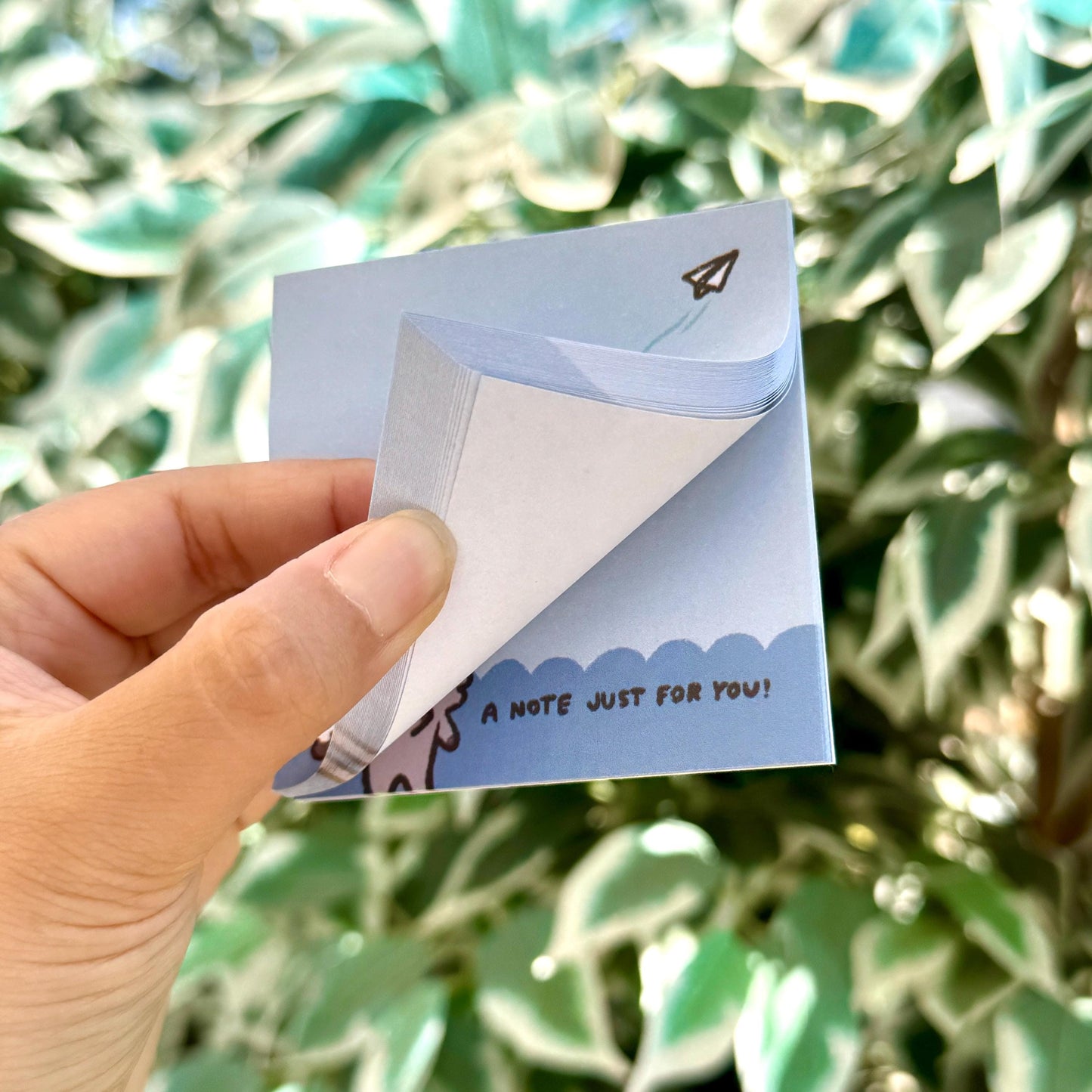 Raccoon A Note Just For You! | Funny Cute Sticky Note | Gifts Under 10 | Novelty Stationary Present | For Office School for Children & Adult